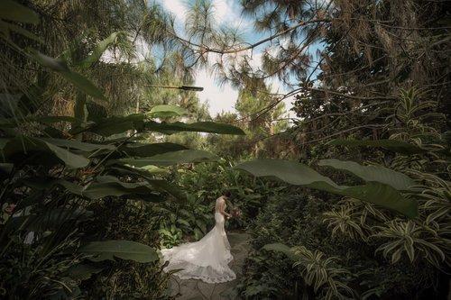 carousel-hero-element image-0