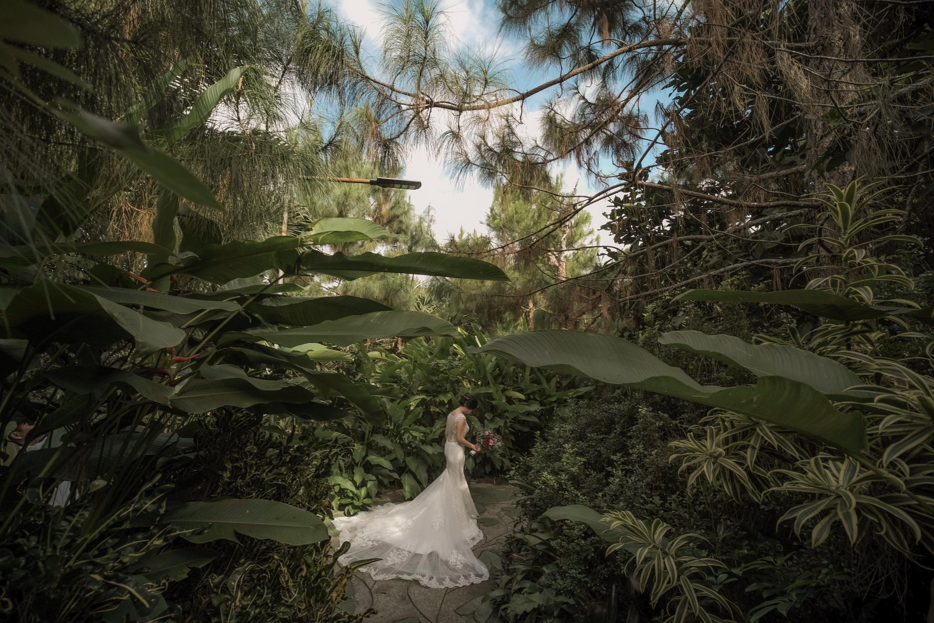 carousel-hero-element image-0